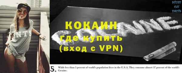 винт Арсеньев