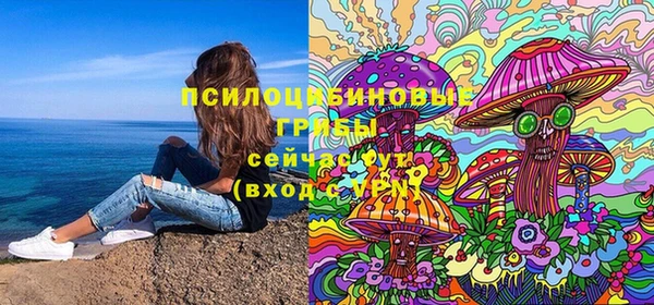 винт Арсеньев