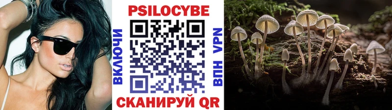 Псилоцибиновые грибы мухоморы  kraken как зайти  Минусинск 